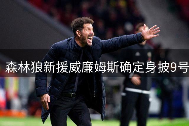森林狼新援威廉姆斯确定身披9号战袍