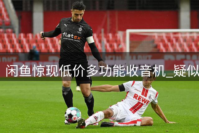 闲鱼惊现低价多功能收音机 疑似海外库存产品